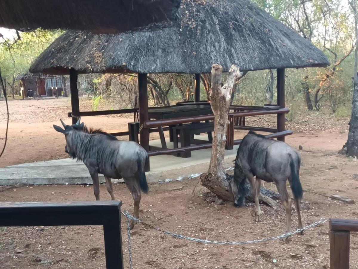 South Safari Lodge Marloth Park Luaran gambar