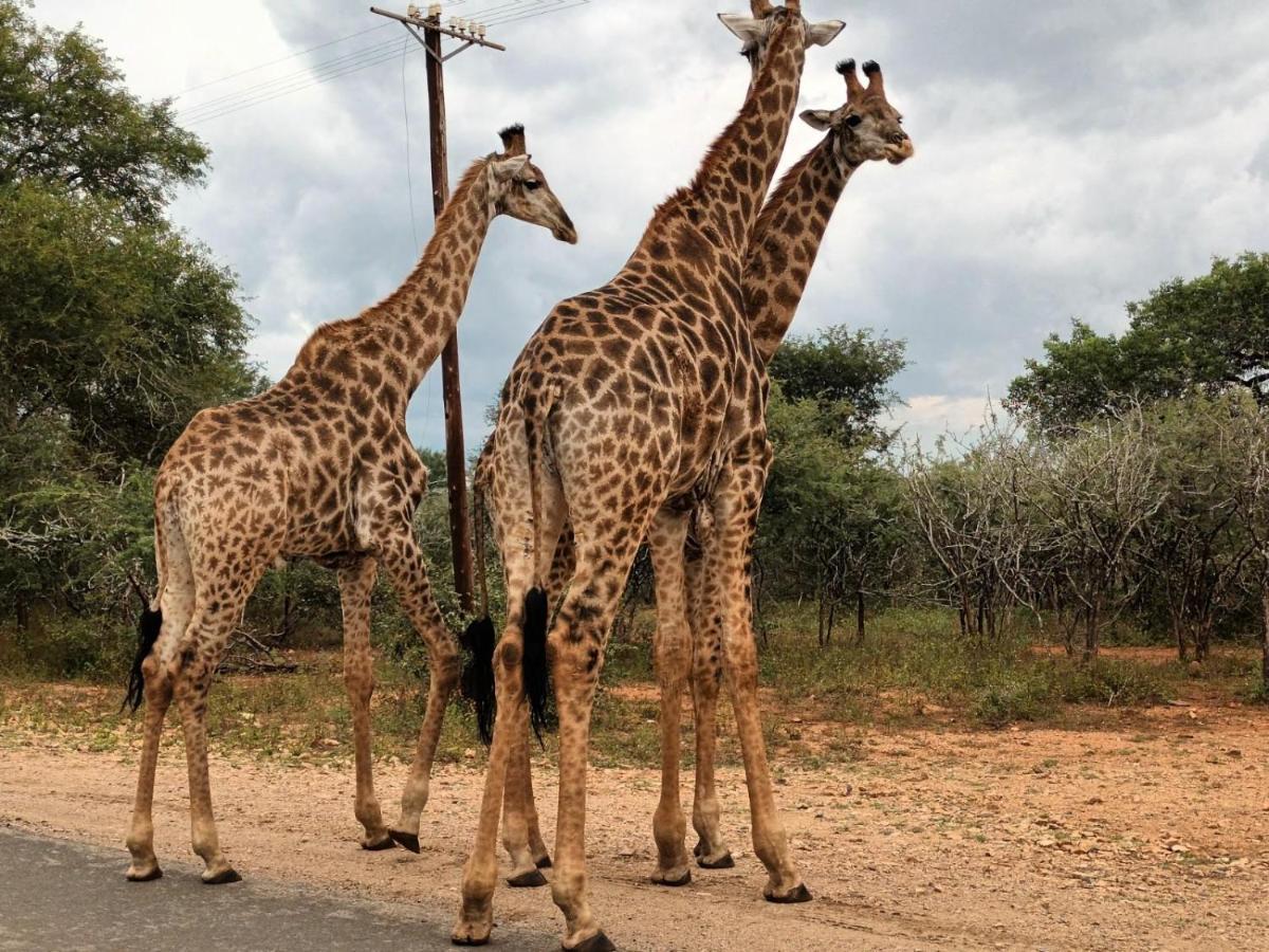 South Safari Lodge Marloth Park Luaran gambar